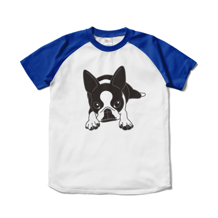 ラグランTシャツ - S - ホワイト×ロイヤルブルー