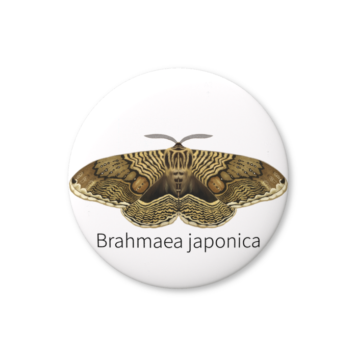 缶バッジ（バリュー） - 25mm