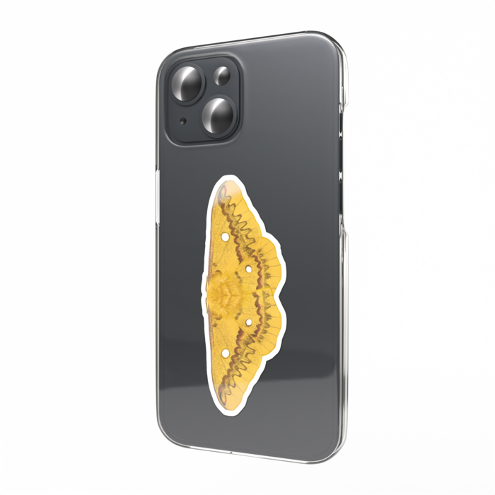 スマホステッカー ウスタビガ　表