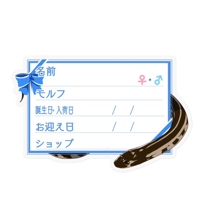 ステッカー - 100 x 100 (mm)(16)