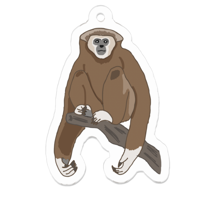 しろててながざる