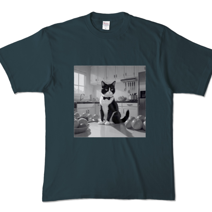 カラーTシャツ - XL - デニム (濃色)