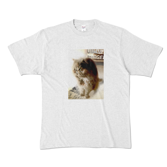 カラーTシャツ - XL - アッシュ (淡色)