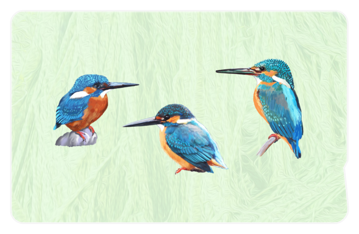 ICカードステッカー - 約85.7x53.9(mm)