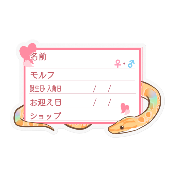 【🐍お名前ステッカー】ブラニジ(アルビノ) ‐ハート／ピンク