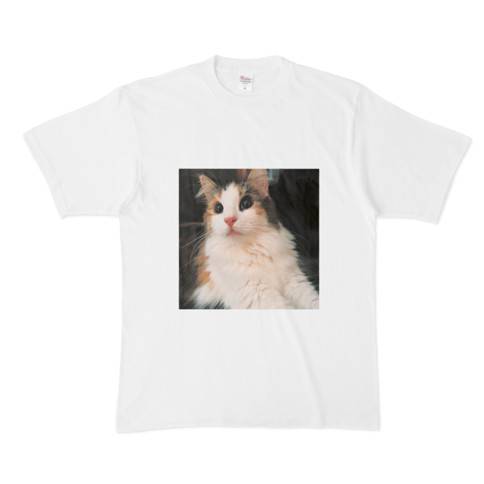 Tシャツ - XL - 白