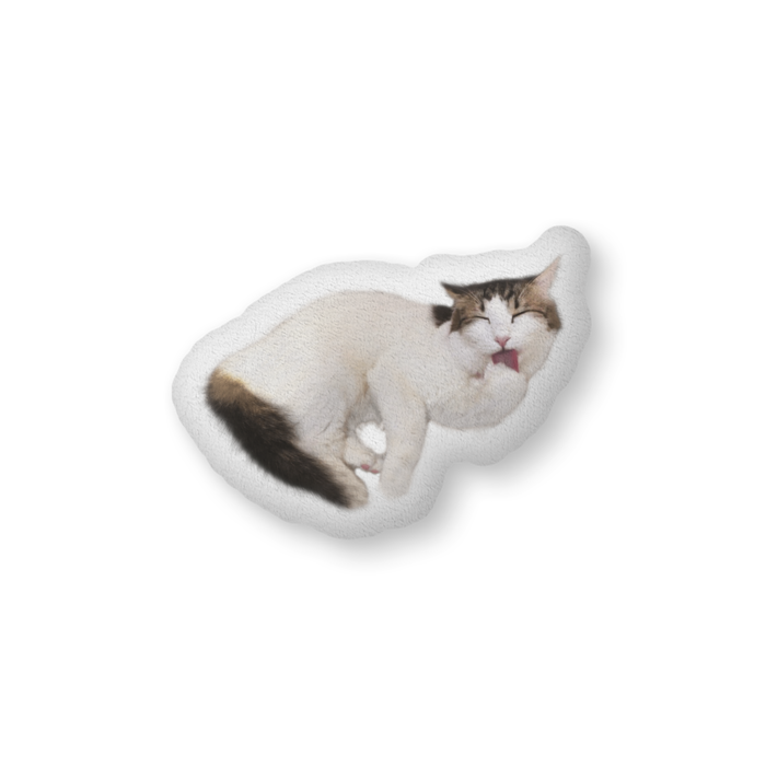 ふかふかクッション - 中（H36×W56cm） - 片面