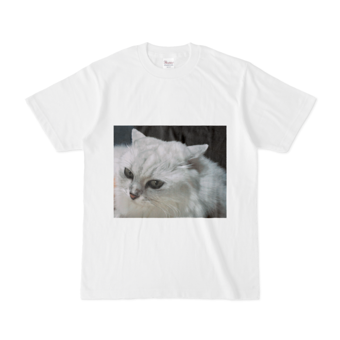 Tシャツ - S - 白