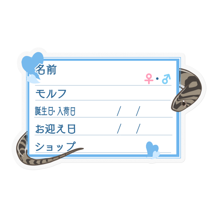 ใ๐ใๅๅในใใใซใผใใณใขใณใฟใใดใใ โใใผใ๏ผใใซใผ