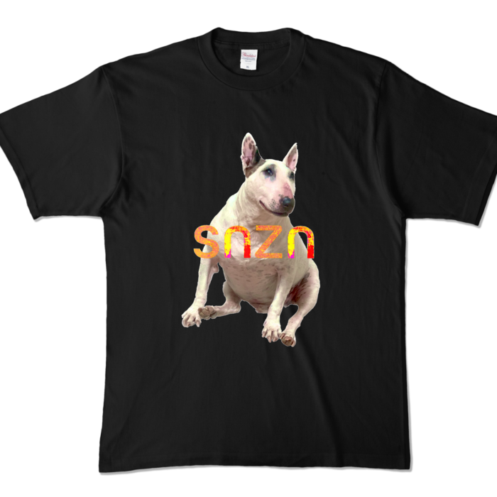 カラーTシャツ - XL - ブラック (濃色)