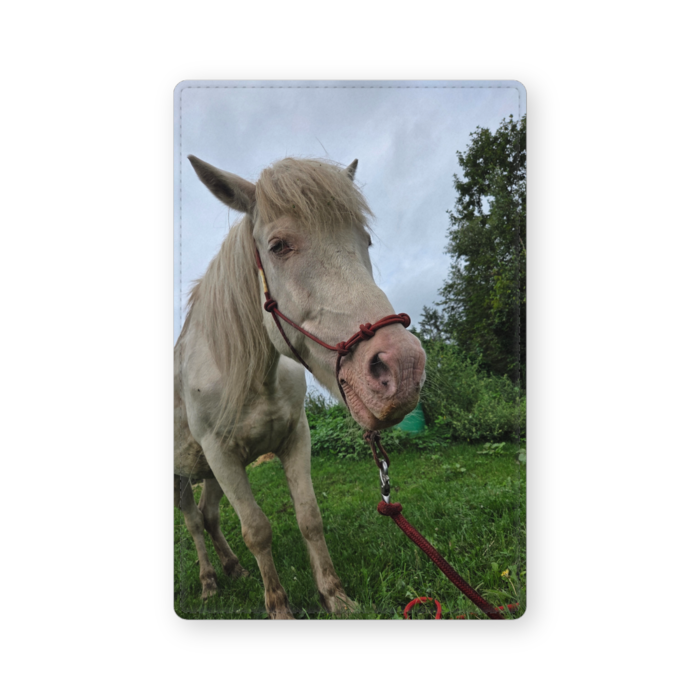 レザー製名刺入れ - 102 x 72 (mm)