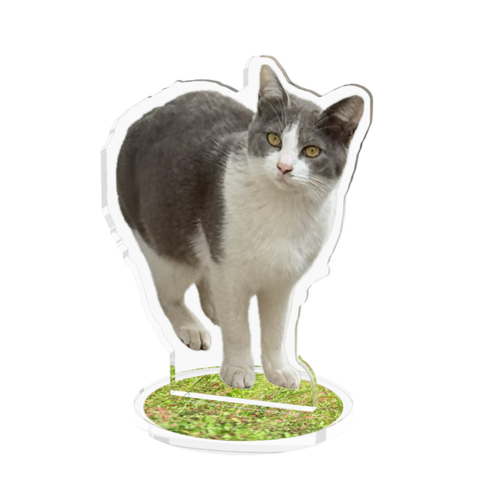 アクリルフィギュア - 70x70mm