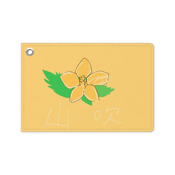 パスケース - 70 x 105 (mm)