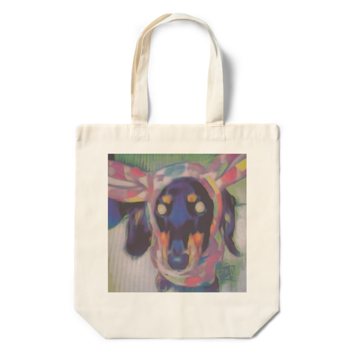 エコバッグ - 360×370×110(mm)