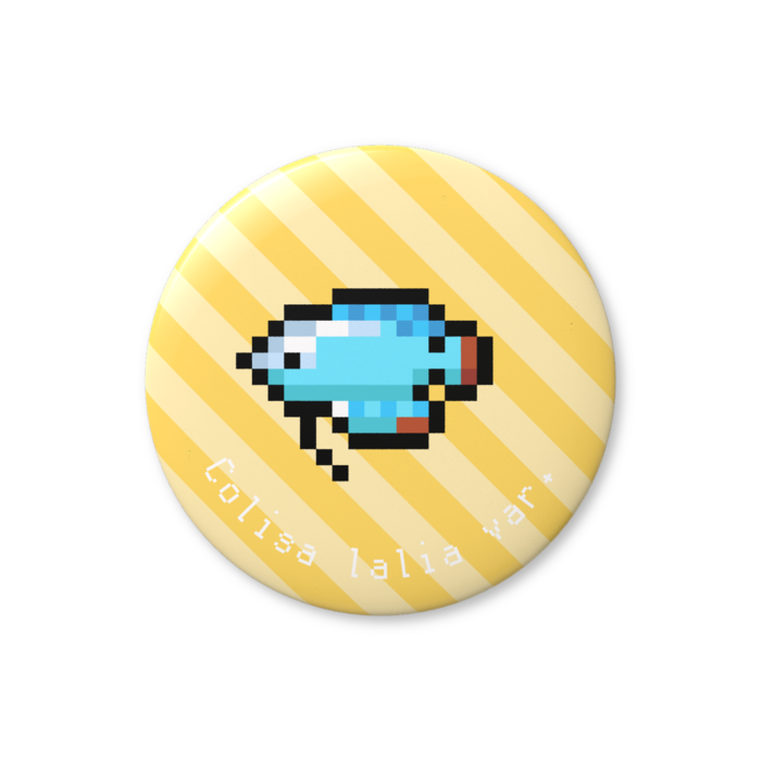 コバルトブルーグラミー