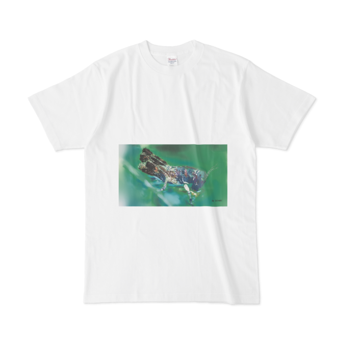 Tシャツ - L