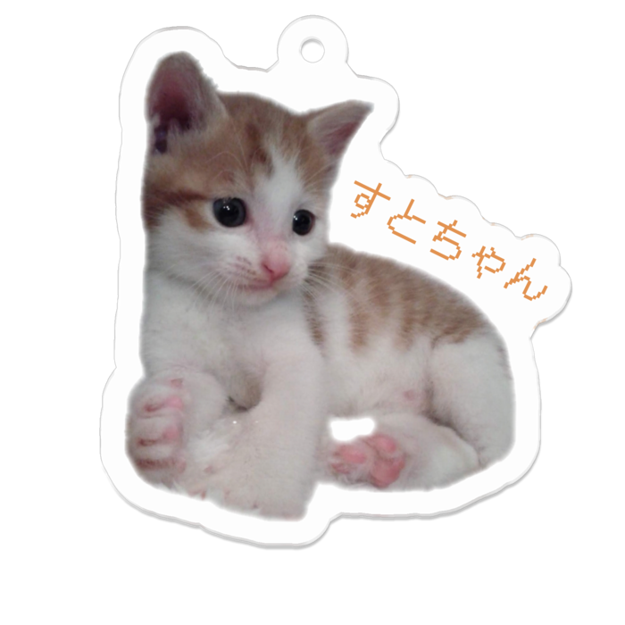 アクリルキーホルダー - 50 x 50 (mm)