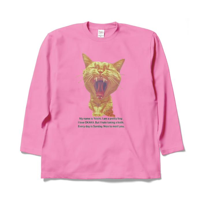 ロングスリーブTシャツ - XL - ピンク