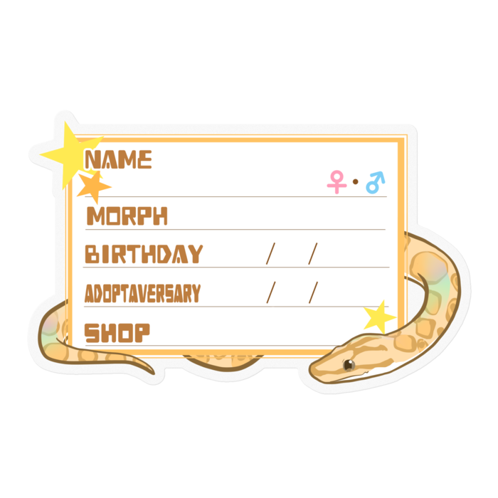 【🐍お名前ステッカー】コロニジ(パラディグマ) ‐星(英語)