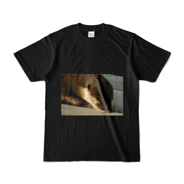 カラーTシャツ - S - ブラック (濃色)
