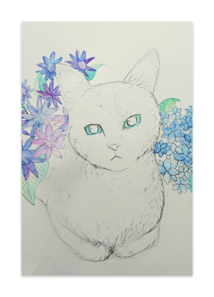 紫陽花と猫
