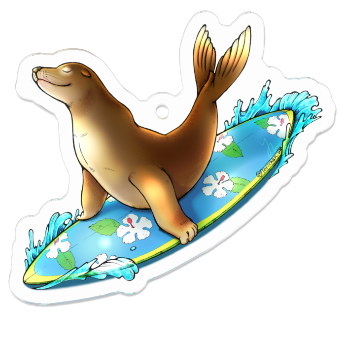 ブルー　50 x 50 (mm)