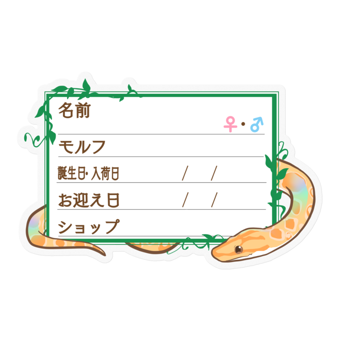 【🐍お名前ステッカー】ブラニジ(アルビノ) ‐ツタ