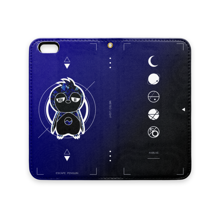 iPhone 6 / 6s
