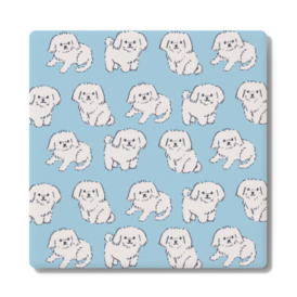 いろんなポーズのマルチーズ Suzumaruooo Booth いろんなポーズのマルチーズ Suzumaruooo Booth