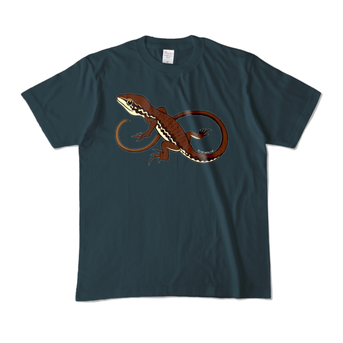 カラーTシャツ - M - デニム (濃色)