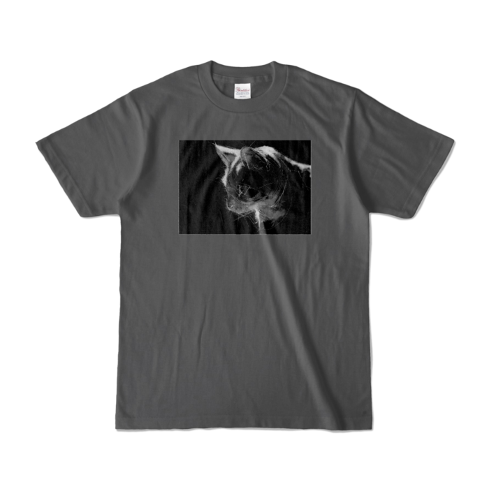 カラーTシャツ - S - チャコール (濃色)