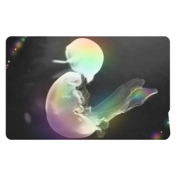 ICカードステッカー - 約85.7x53.9(mm)