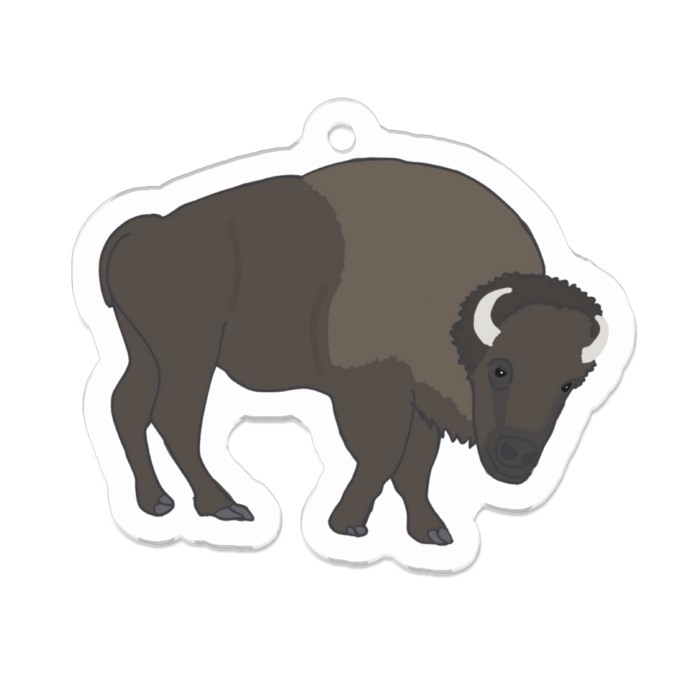 あめりかばいそん