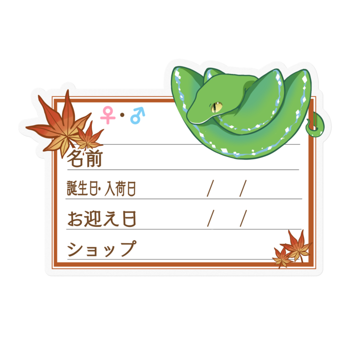 【🐍お名前ステッカー】枠11種類 グリンパイ(ソロン) ‐もみじ