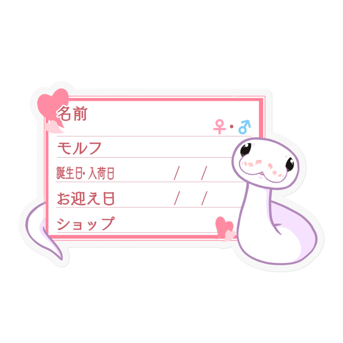 【🐍お名前ステッカー】ボールパイソン(スーパーファイアミニ) ‐ハート/ピンク