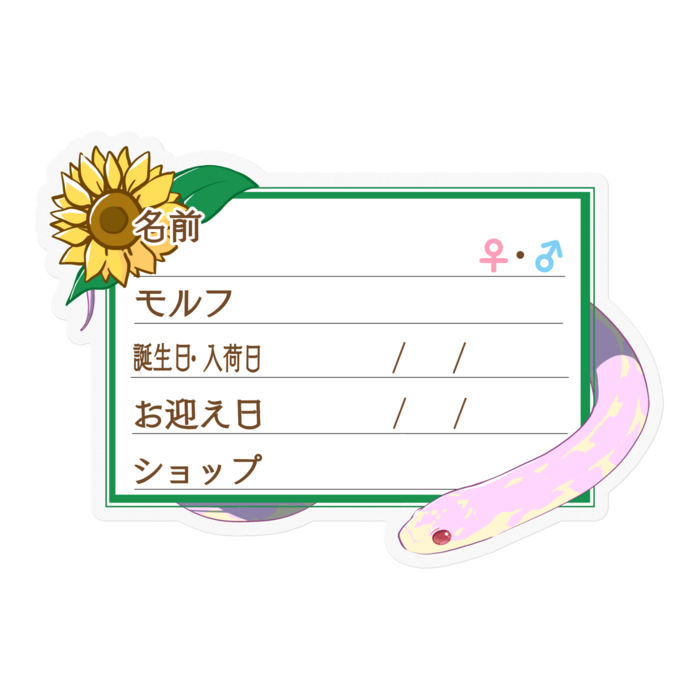 【🐍お名前ステッカー】カリキン(アルビノアベラント) ‐ひまわり