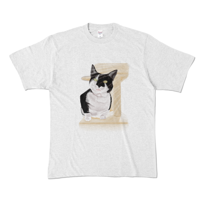 カラーTシャツ - XL - アッシュ (淡色)