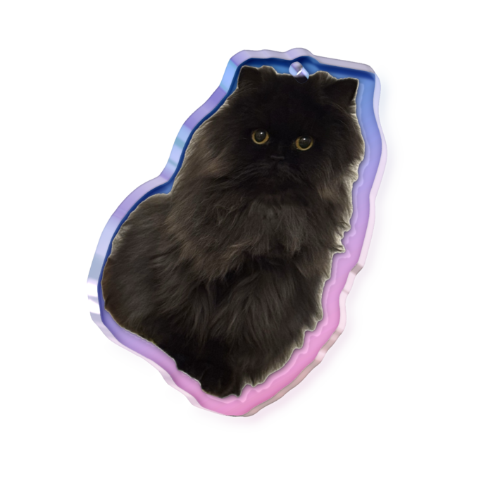 オーロラアクリルキーホルダー - 50 × 50mm