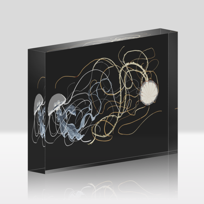 アクリルブロック - 148x100mm