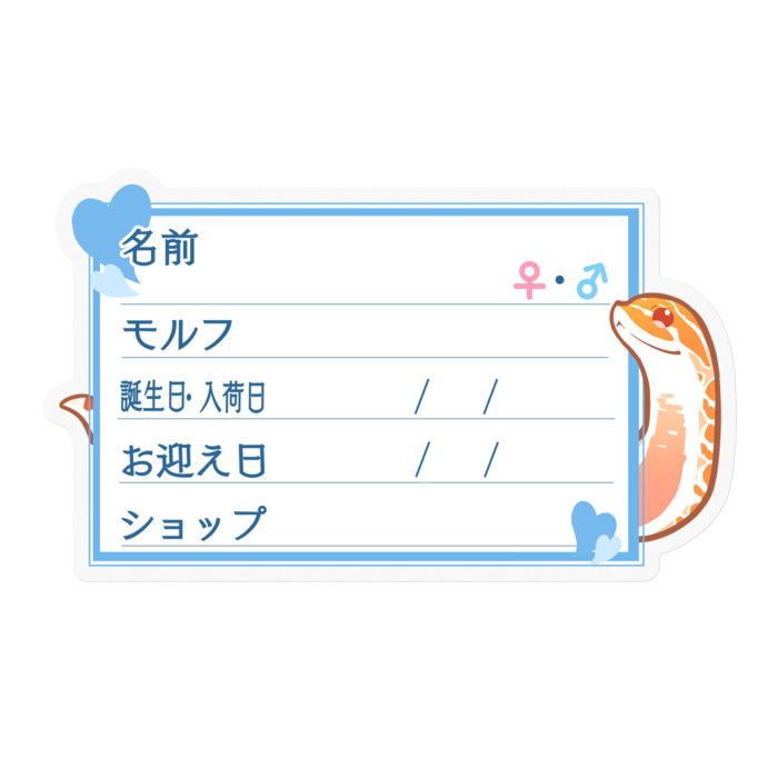 【🐍お名前ステッカー】シシバナ(アルビノ) ‐ハート／ブルー