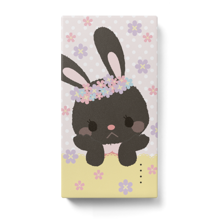 モバイルバッテリー - 123 x 65 (mm)