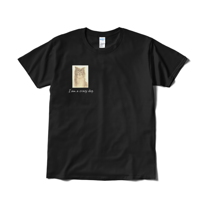 Tシャツ（短納期） - L - ブラック