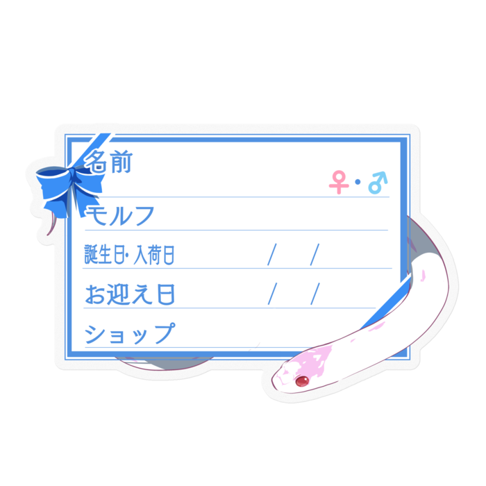 【🐍お名前ステッカー】カリキン(アルビノハイホワイト) ‐リボン／ブルー