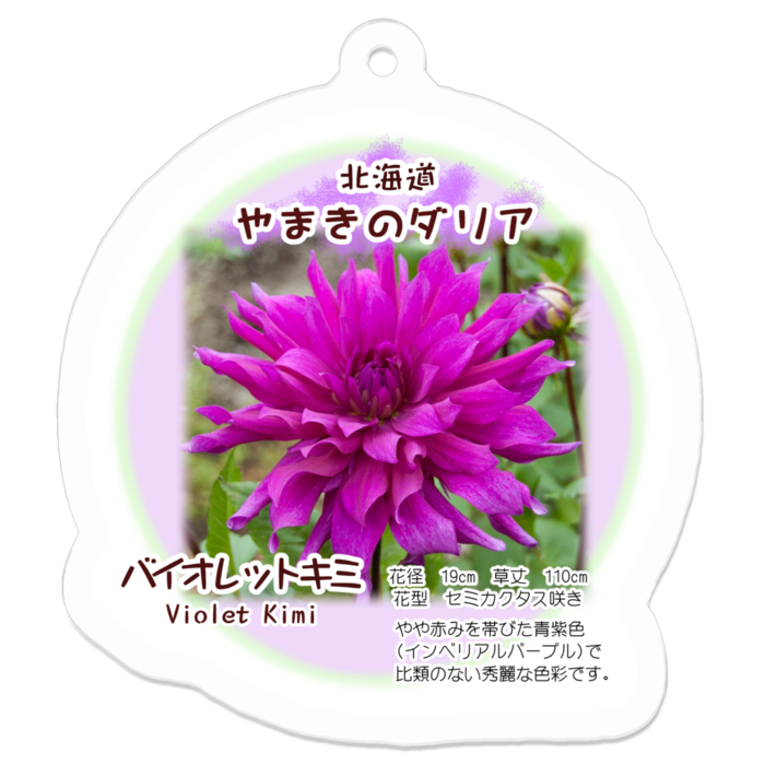 アクリルキーホルダー - 50 x 50 (mm)