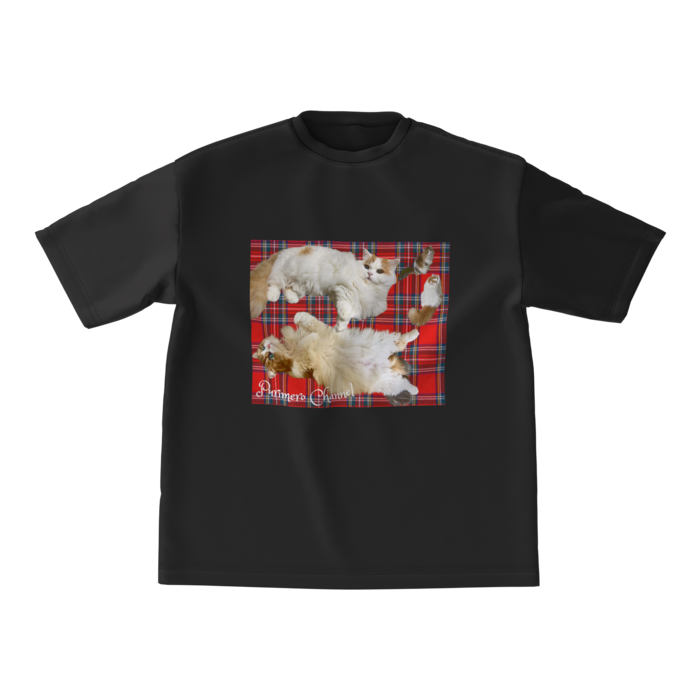 ビッグシルエットTシャツ - M - 両面(1)