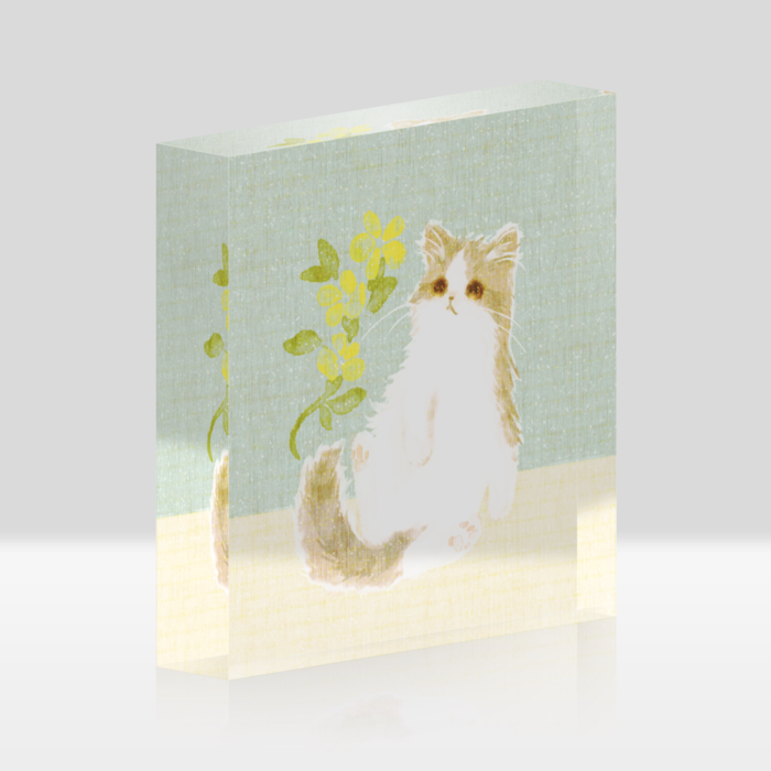 アクリルブロッククリア水 - 100x100mm