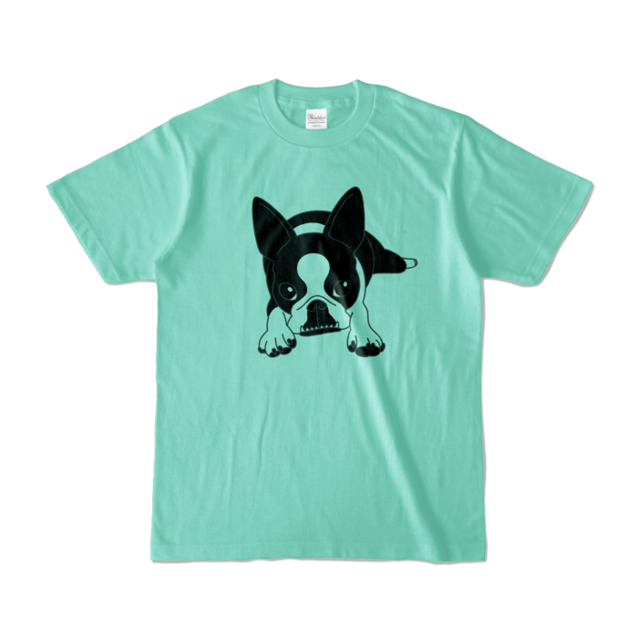 カラーTシャツ - S - アイスグリーン (淡色)