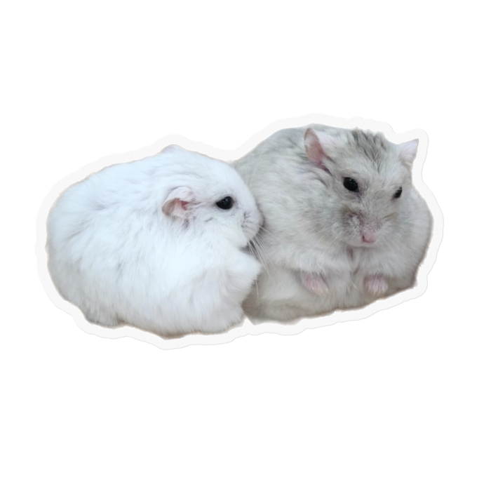 ステッカー - 100 x 100 (mm)