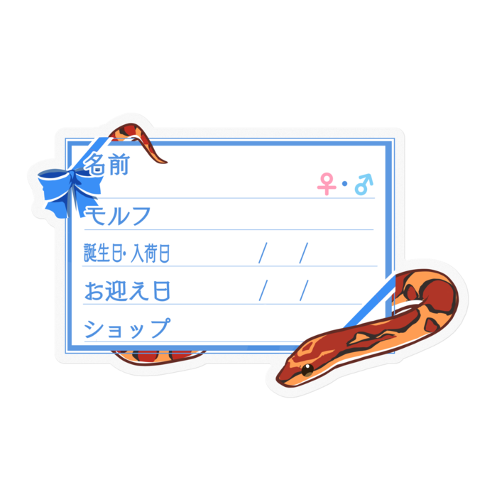 【🐍お名前ステッカー】コーンスネーク(ノーマル) - リボン/ブルー