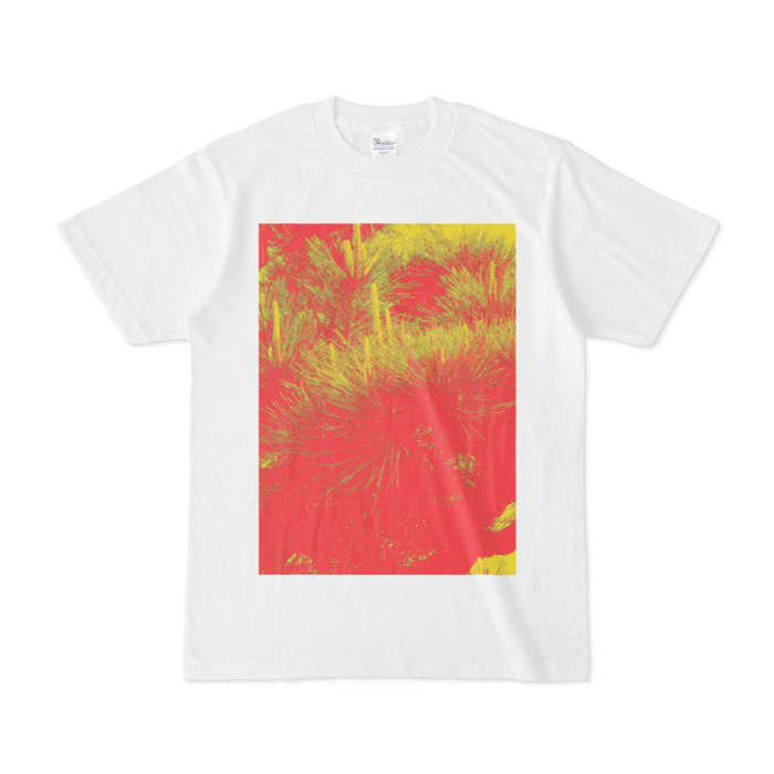 Tシャツ - S - 正面